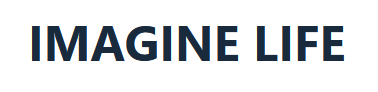 Imagine Life - Partener