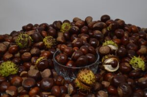 cum se fac castanele