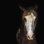 vacanta mare actori