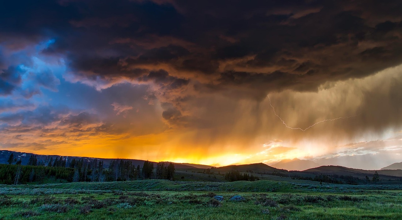 cate sezoane are yellowstone